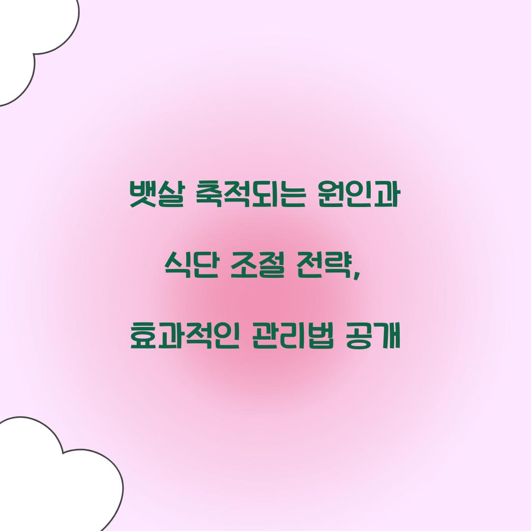 뱃살 축적되는 원인과 식단 조절 전략