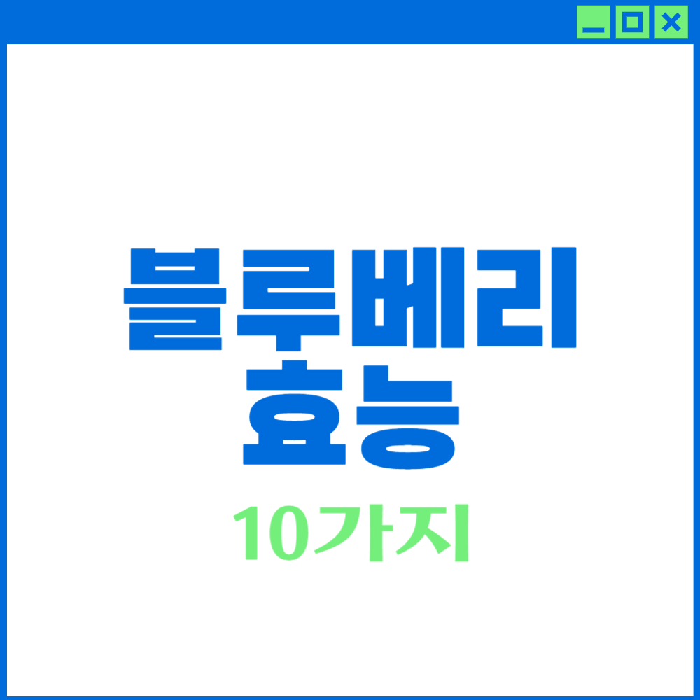 블루베리 효능