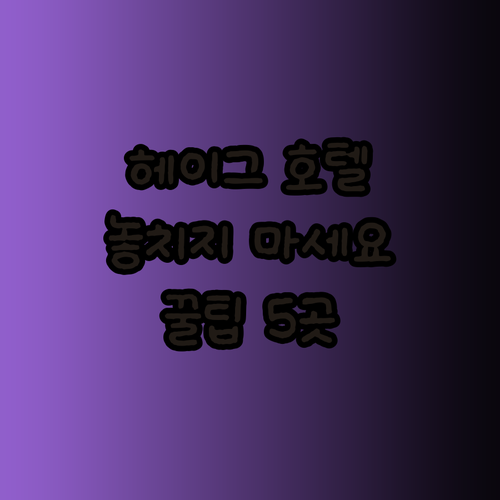 헤이그 여행 계획 중이세요? 놓치면