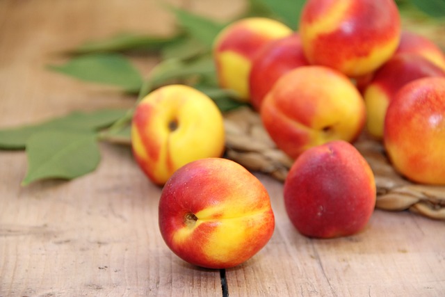 복숭아 보관방법