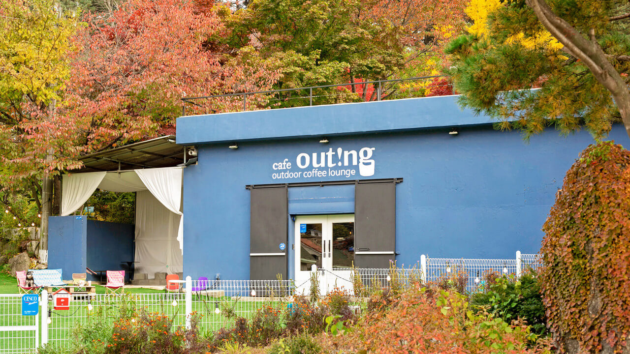 서울·근교 강아지와 함께 갈 수 있는 펫카페 추천 & 방문 꿀팁 총정리