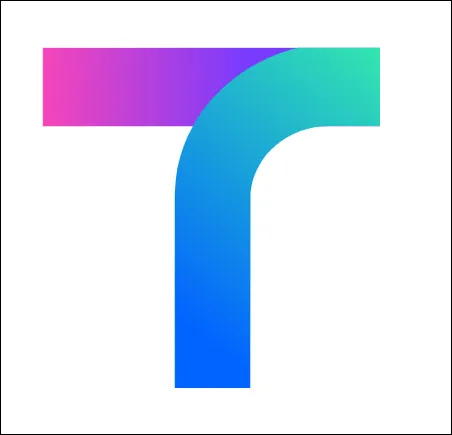 tmap-기능-설명