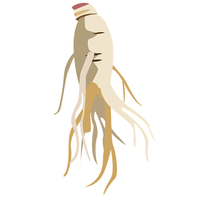 토복령 효능 부작용