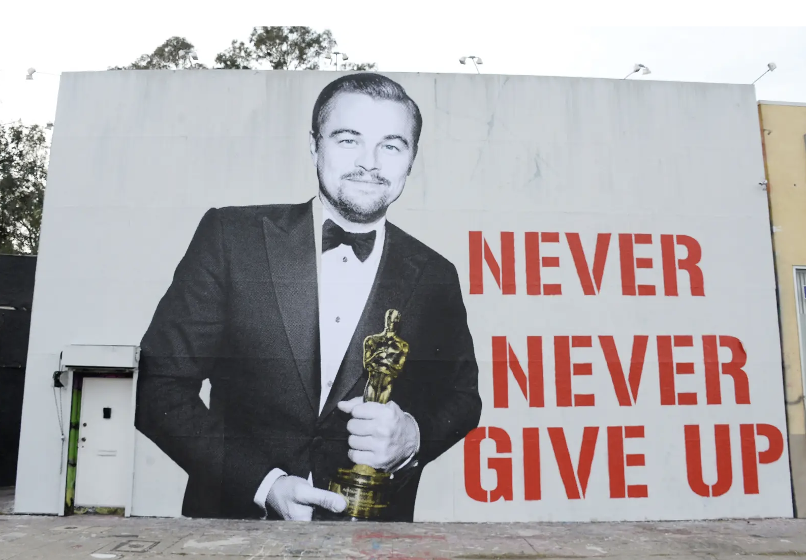 레오나르도 디카프리오 아카데미 남우주연상