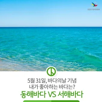 5월 동해 바다낚시 최고 추천 어종과 인기 포인트 완벽 총정리_17