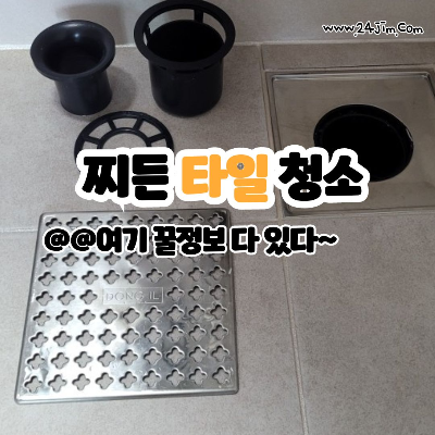 찌든타일청소