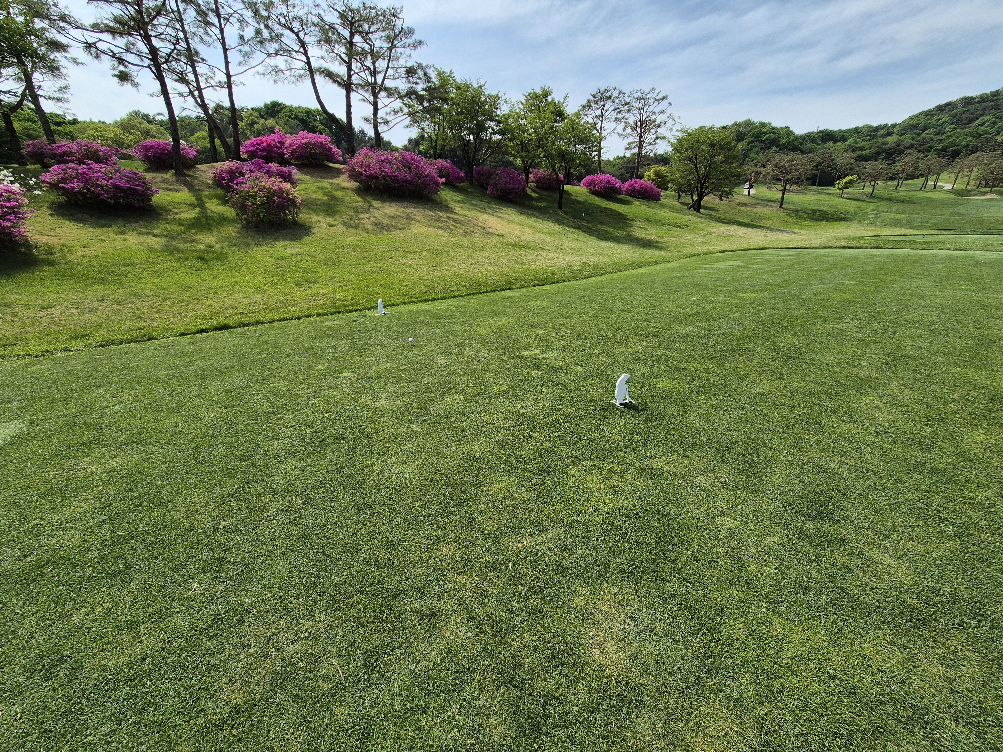 베어크리크cc 크리크코스