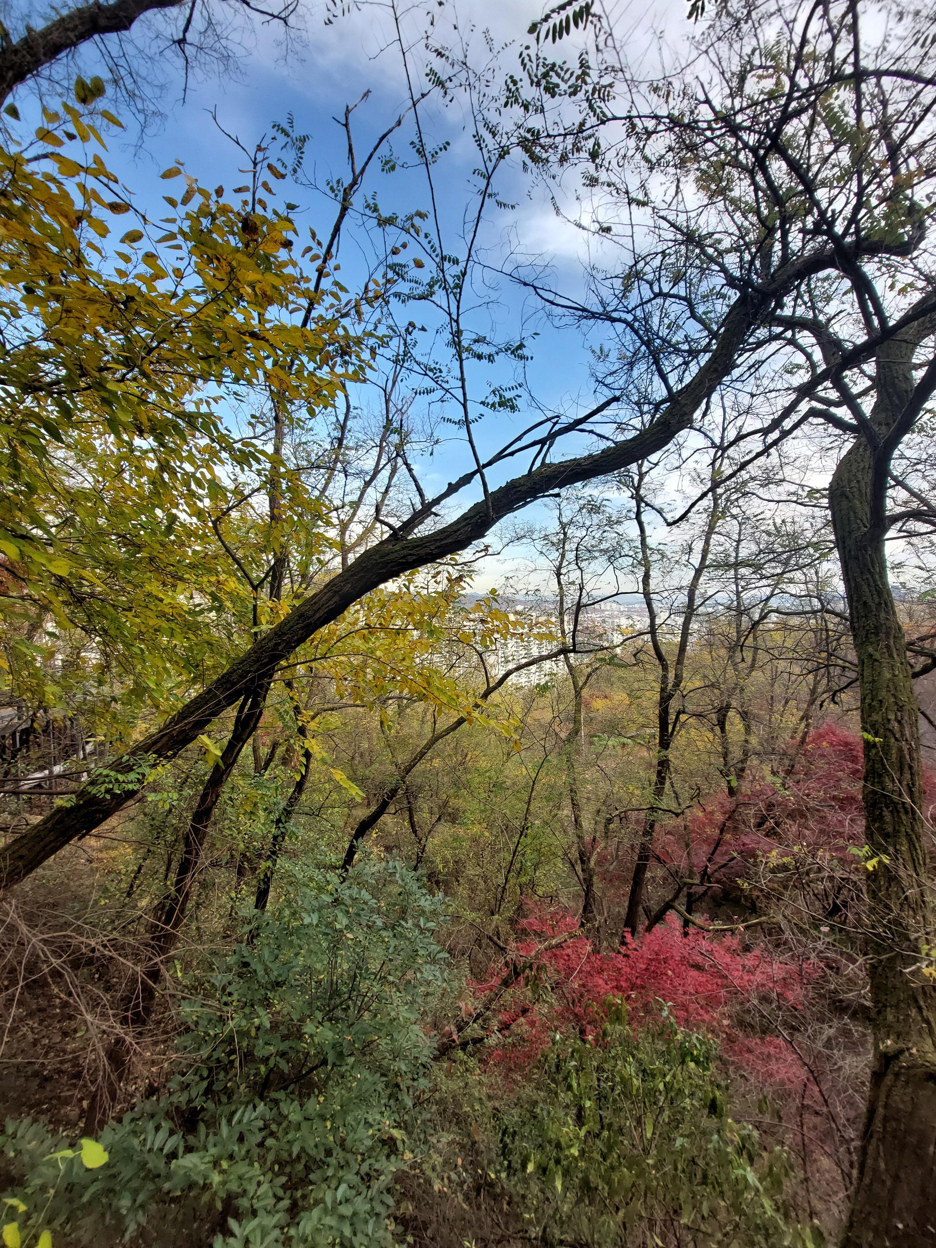 안산