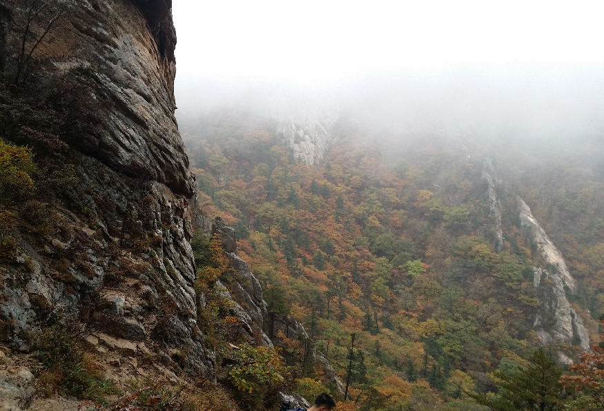 설악산-단풍-바위-구름