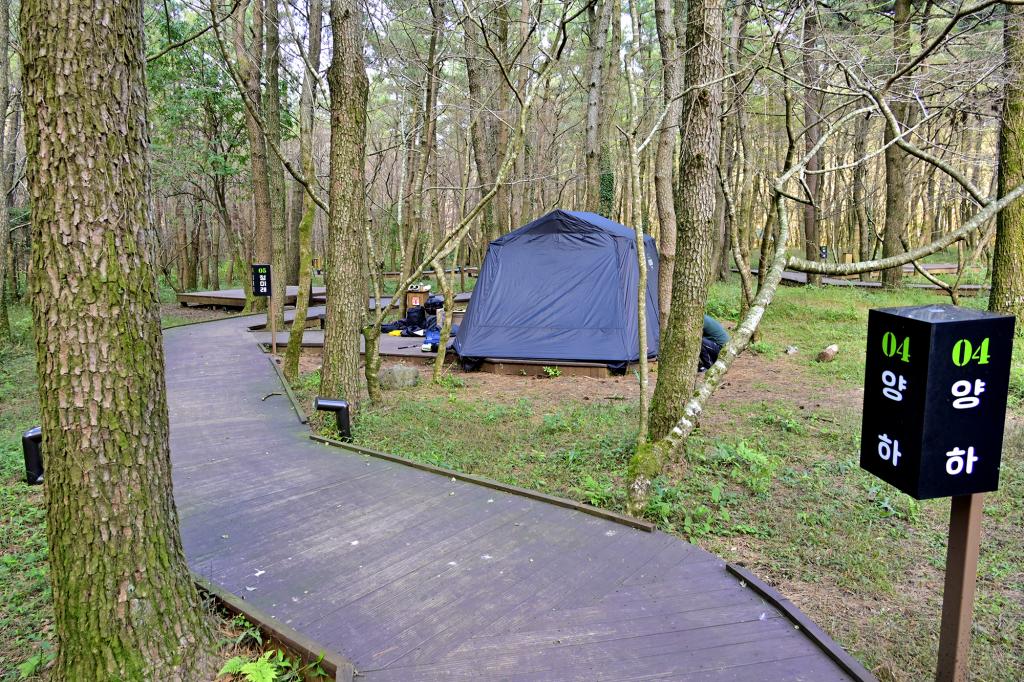 제주 붉은오름 자연휴양림 숲속야영장