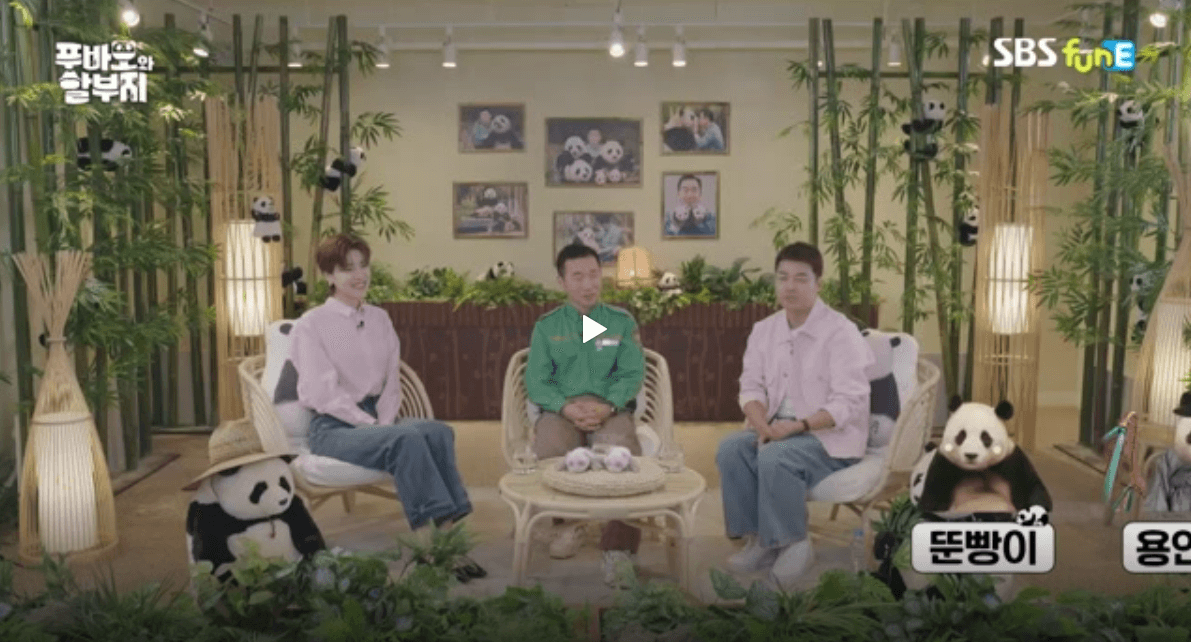 푸바오와 할부지 1화 재방송