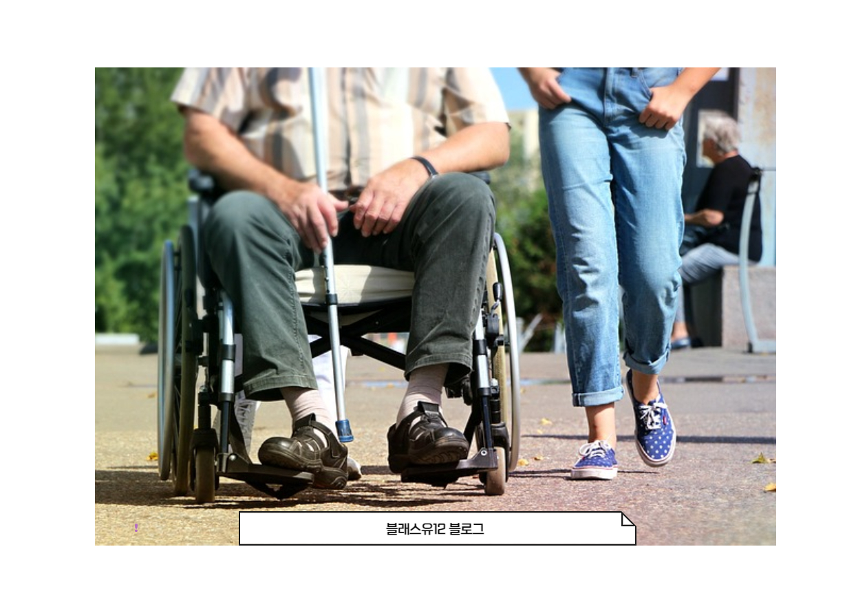 장애인활동지원