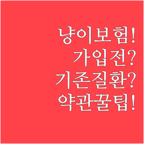 고양이 보험 가입 전 확인할 기존 질..