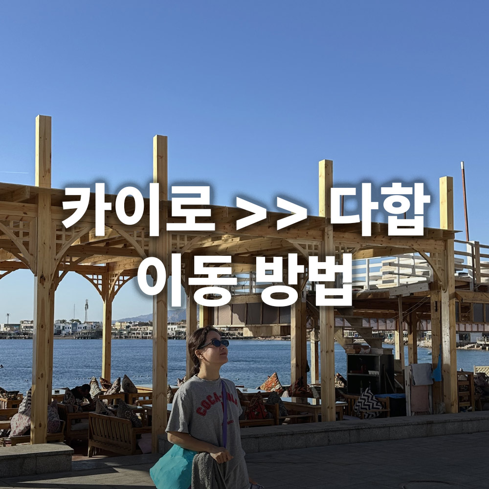 카이로 다합 이동