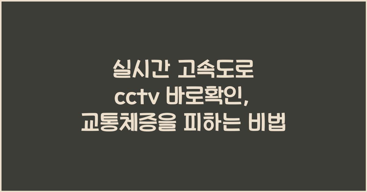 실시간 고속도로 cctv 바로확인