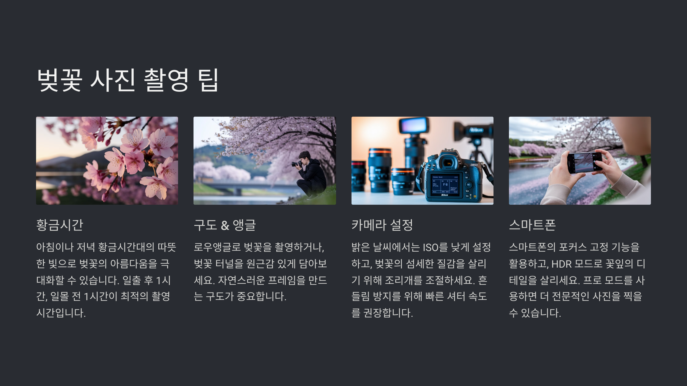 벚꽃 개화 시기 및 명소 추천