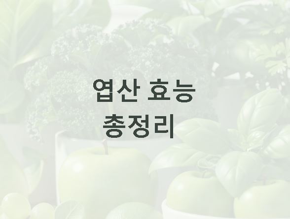 엽산 효능 총정리