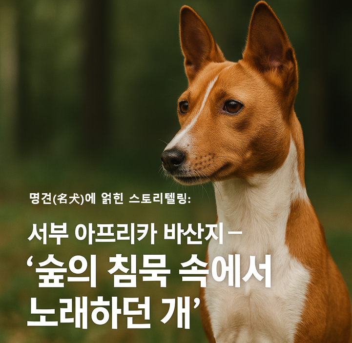 서부 아프리카 바산지 이미지 – “숲의 침묵 속에서 노래하던 개”