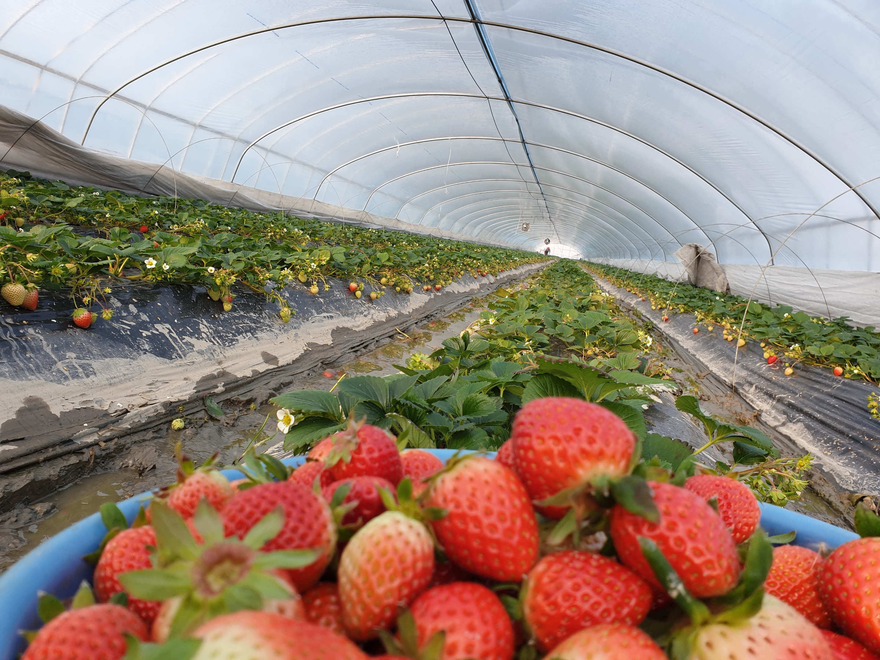 귀농 준비부터 정착까지의 과정