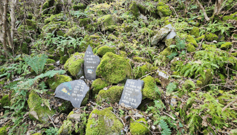 [명품숲길 50선 가을단풍 산행 ②] 소리향기길 &amp; 명언읽고가길 : 가평 강씨봉자연휴양림의 가을 산책길