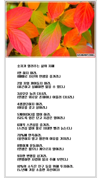 삶의 지혜 짧은 문장 손주 교육 대화 공감 가족과 나누기 좋은 표현_12