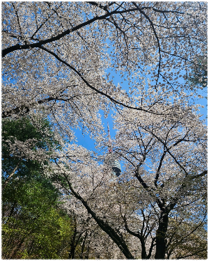 남산