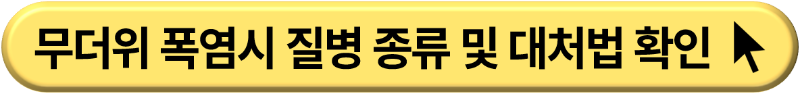 폭염 무더위 행동 요령