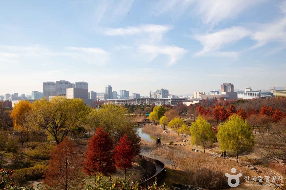 대전 가볼만한곳 베스트10