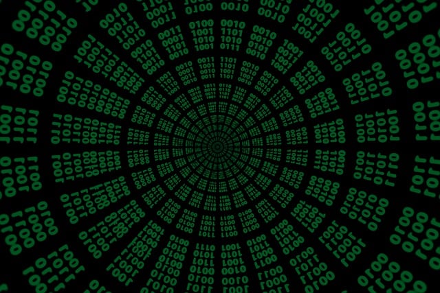 2025 달라진 통관규정