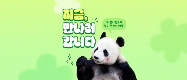 푸바오 청도패키지 상품 팬키지 여행