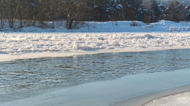 화천 산천어 축제