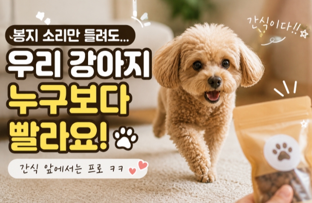 간식에 반응하는 반려견 행동모습관찰하는 이미지