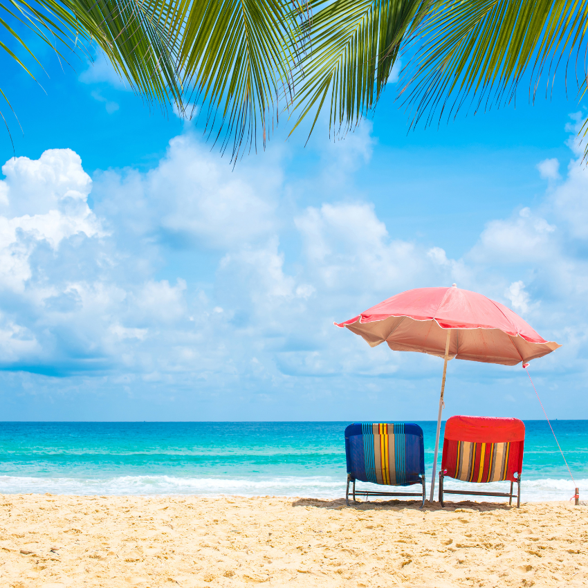 전국 해수욕장 개장일_24