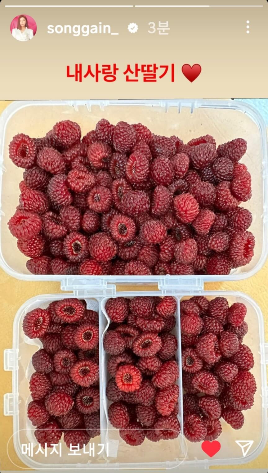 송가인 팬 어게인 음식선물 인증