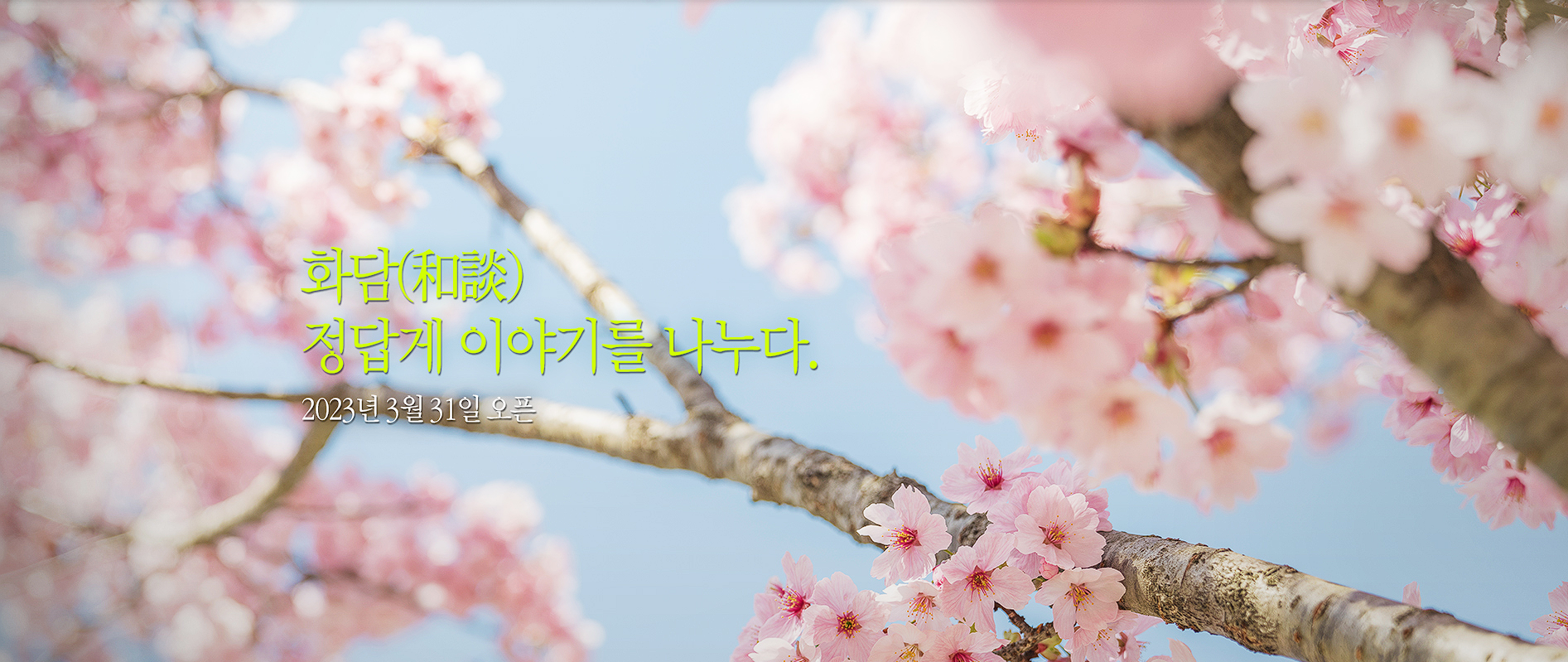 화담숲 예약 모노레일