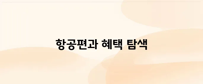 에어서울 홈페이지 (www.flyairseoul.com)