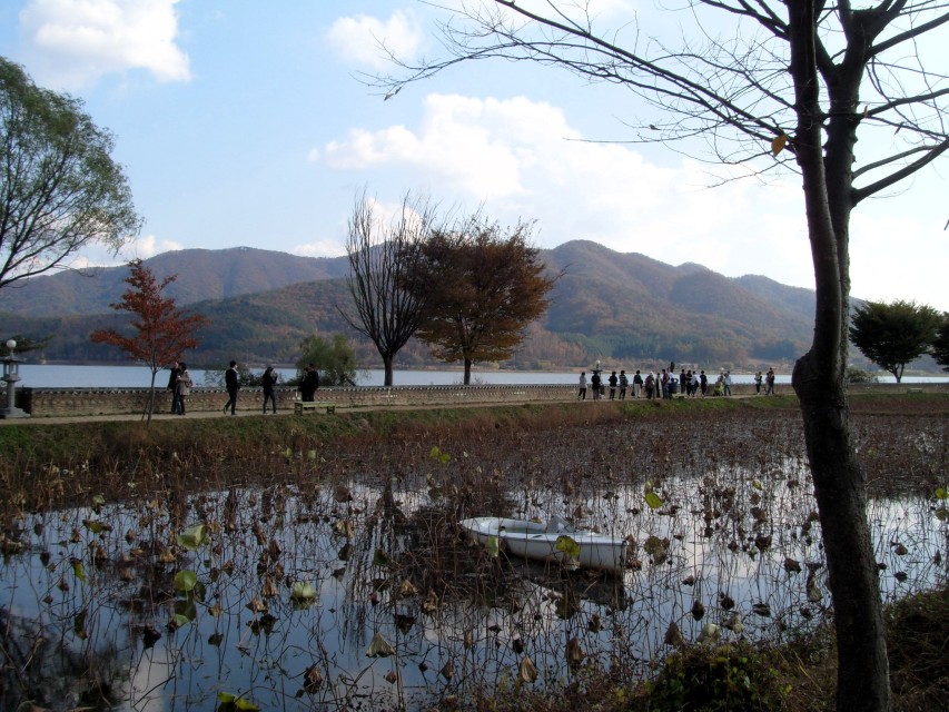 양수리 물의정원 강변 산책로와 꽃길 풍경