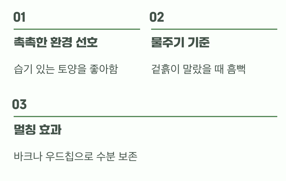 비결 2. '물'을 사랑하는 신사