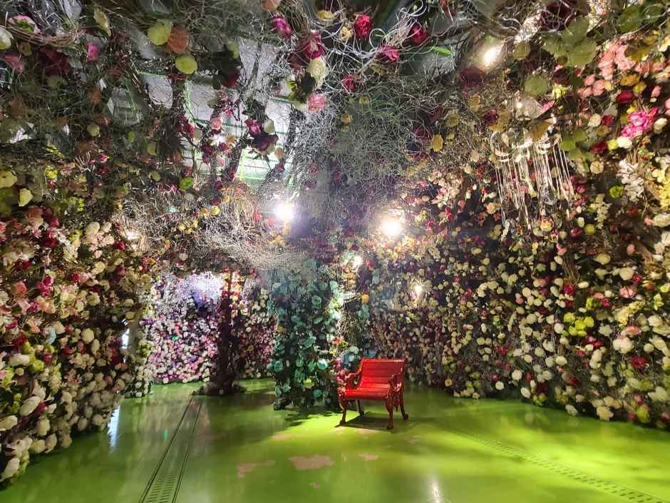 젊은달와이파크