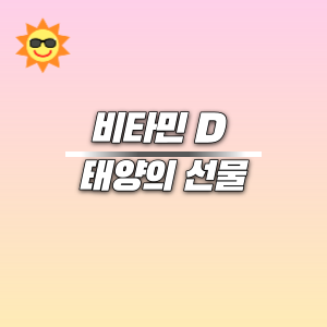 비타민 D &#124; 태양의 선물