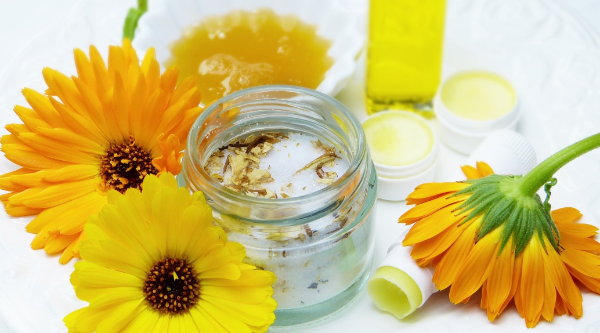 피부-건강-천연-허브