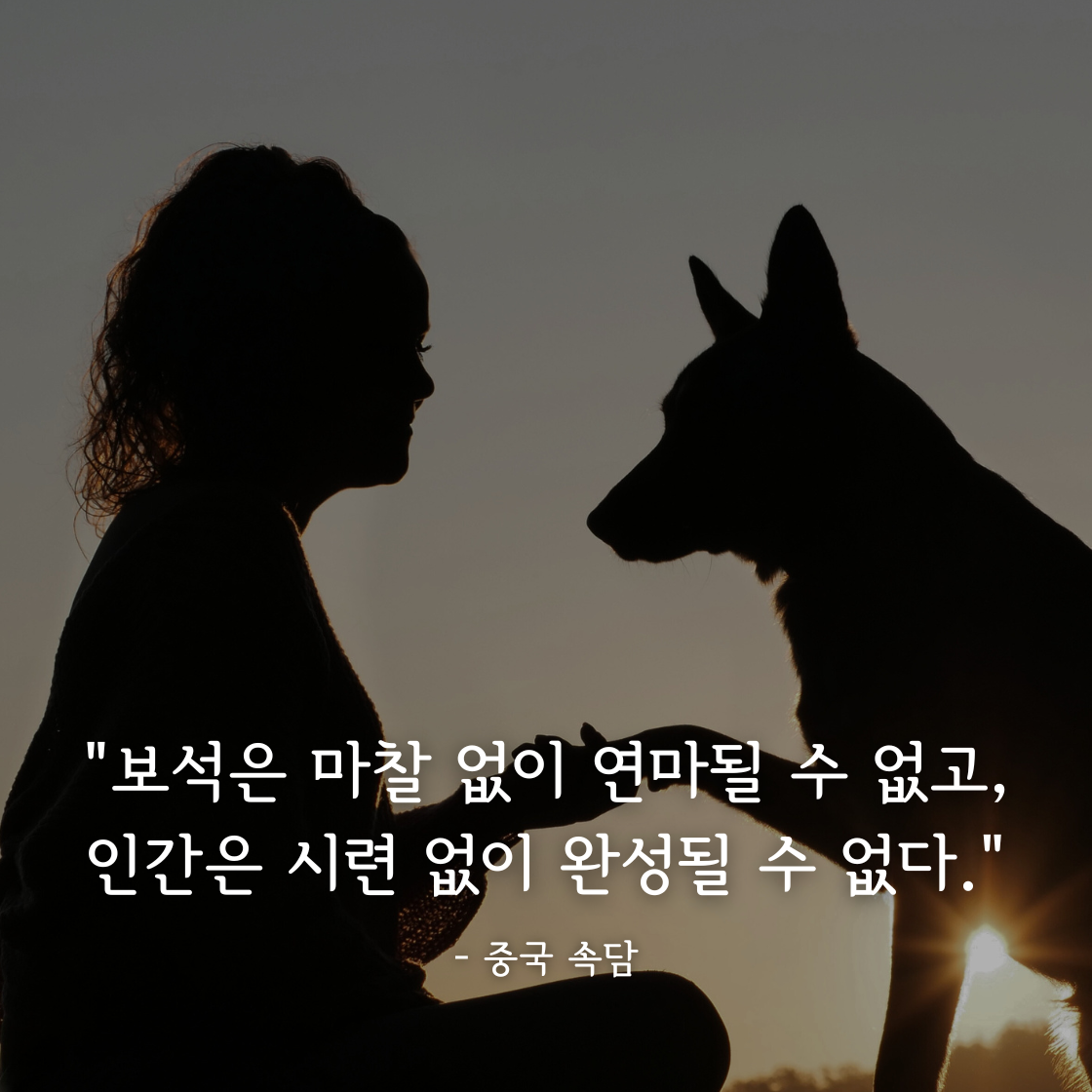 시련과 고난을 통해 성장하는 법