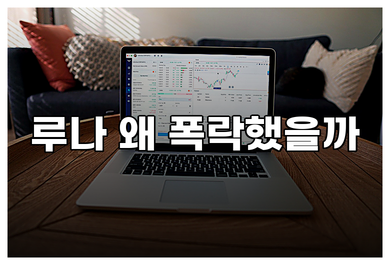 루나 왜 폭락했을까