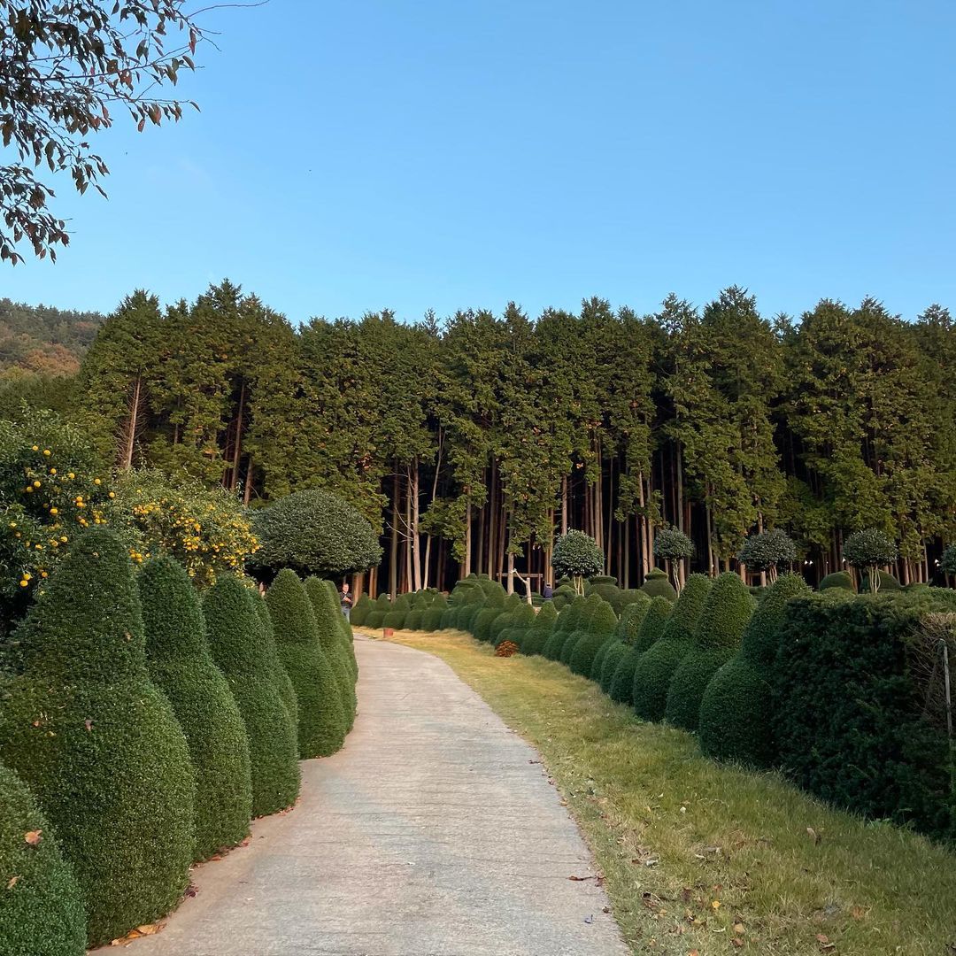 생방송오늘저녁 대한민국 보물정원 남해 여행 추천