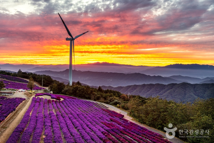 거창 가볼만한곳 베스트10