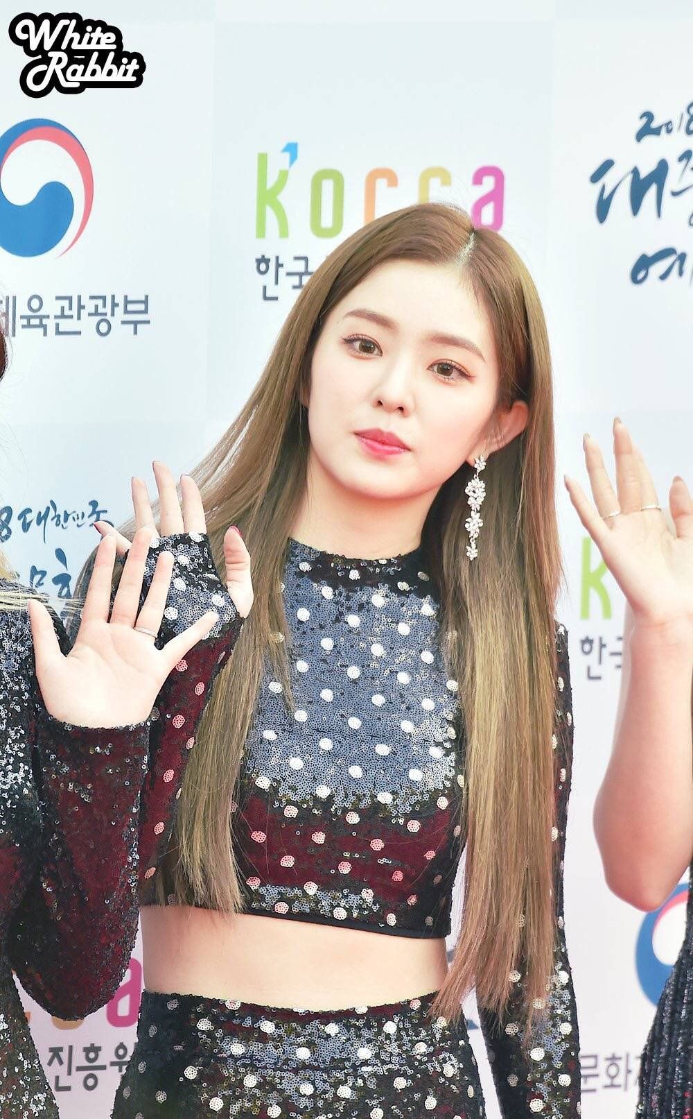 레드벨벳 아이린 고화질 레드벨벳 아이린 고화질
