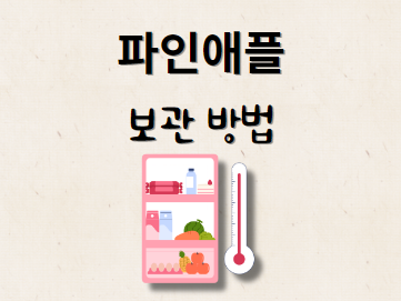 파인애플 보관법