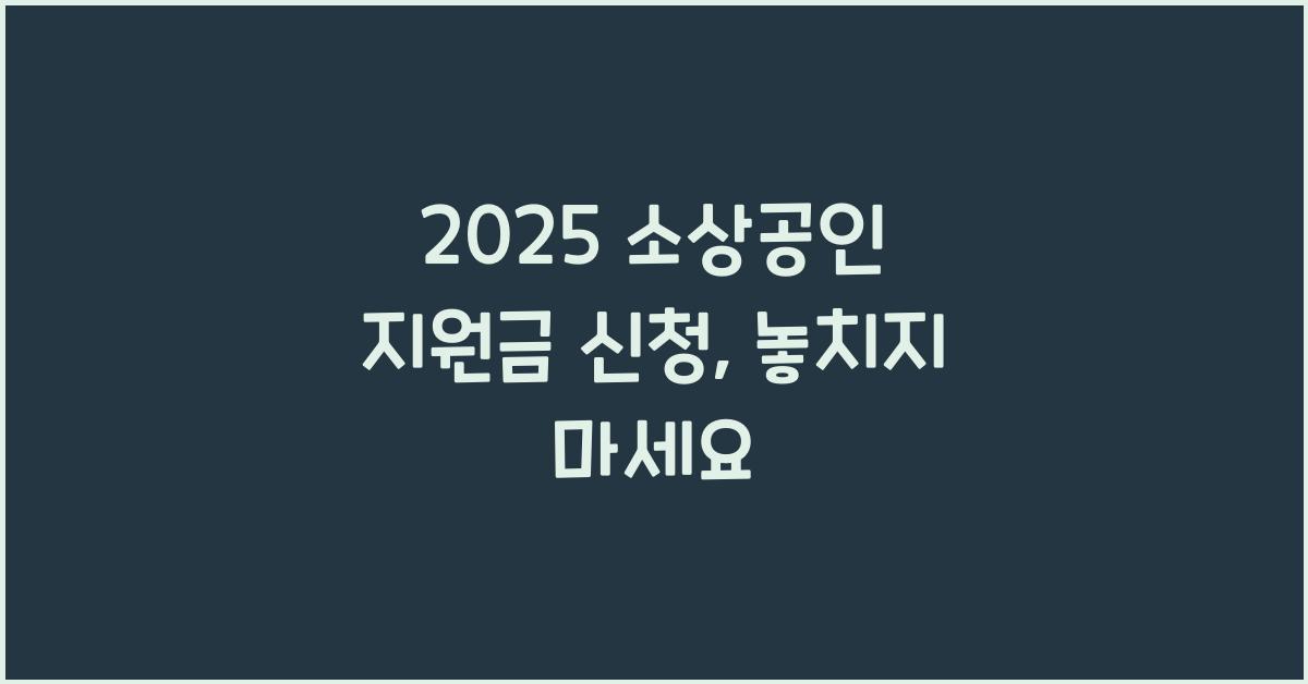 2025 소상공인 지원금 신청