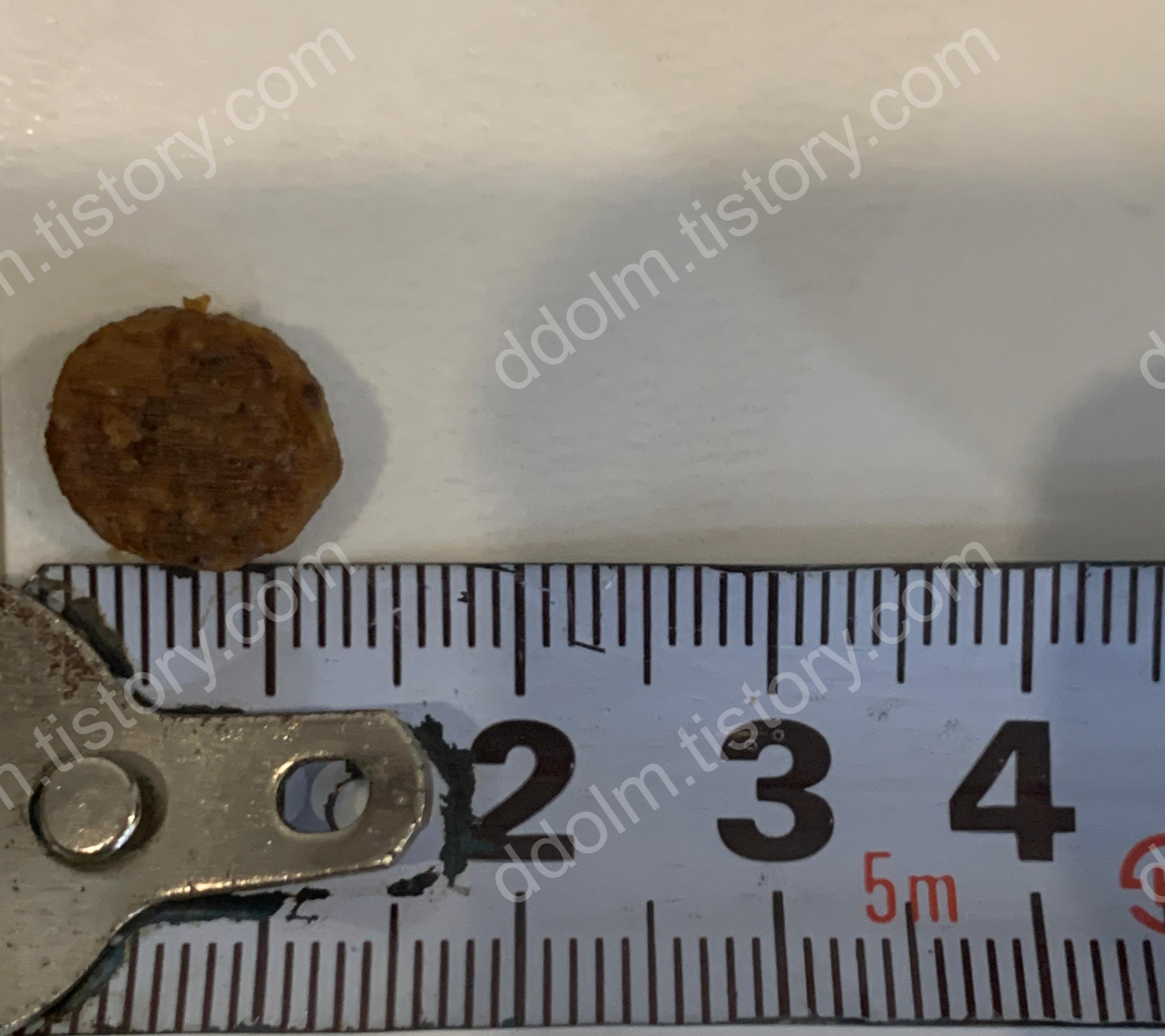 강아지 신부전 사료 비교