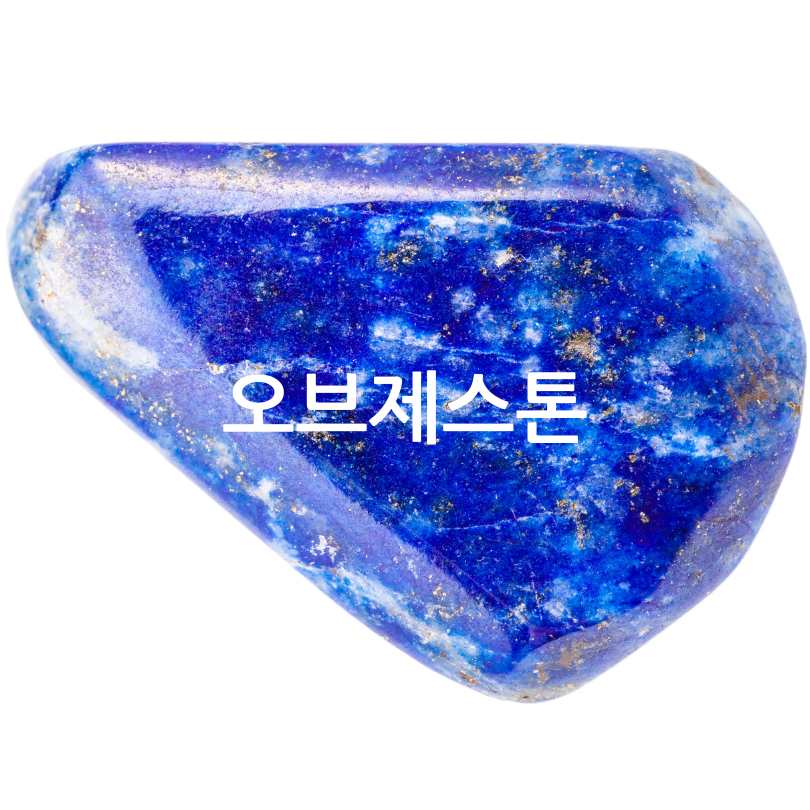 반려동물 장례비용과절차